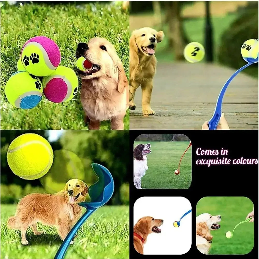 Pet Tennis Launcher and Throwing Stick for Dogs - Outdoor Training Toys and Supplies