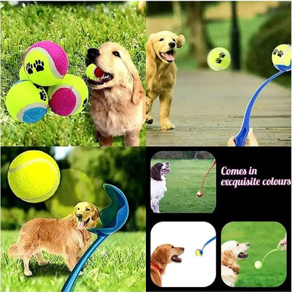 Pet Tennis Launcher and Throwing Stick for Dogs - Outdoor Training Toys and Supplies