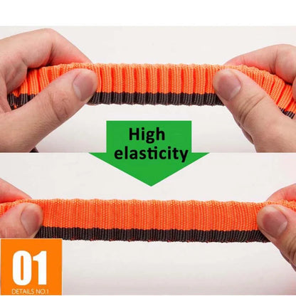 Adjustable Nylon Elastic Bungee Leash for Dogs - Handheld and Waist-Worn for Running, Jogging, and Walking