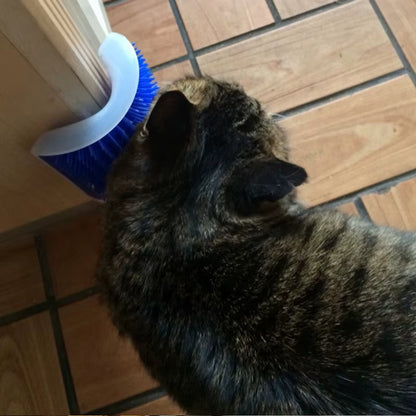 Corner Cat Grooming Brush and Scratch Toy with Arch Massager and Plastic Bristles