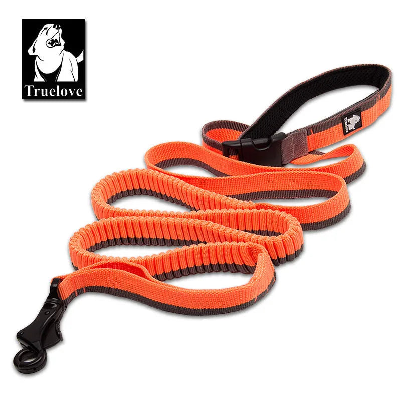 Adjustable Nylon Elastic Bungee Leash for Dogs - Handheld and Waist-Worn for Running, Jogging, and Walking