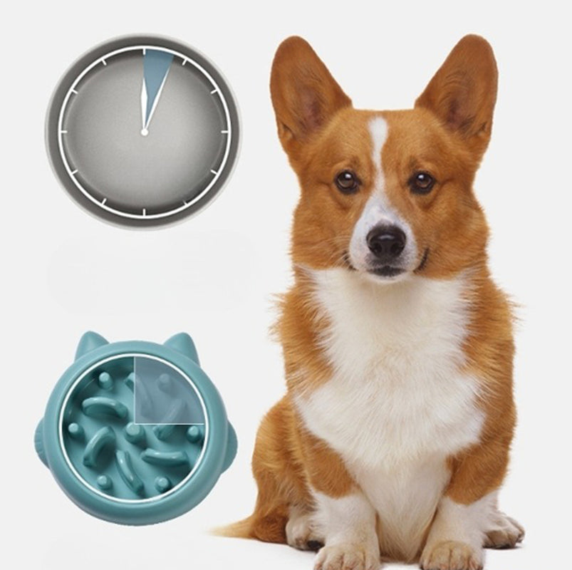 Slow Feeder Bowls for Dogs and Cats - Anti-Choking and Anti-Gulping Feeding Dish for Home Use