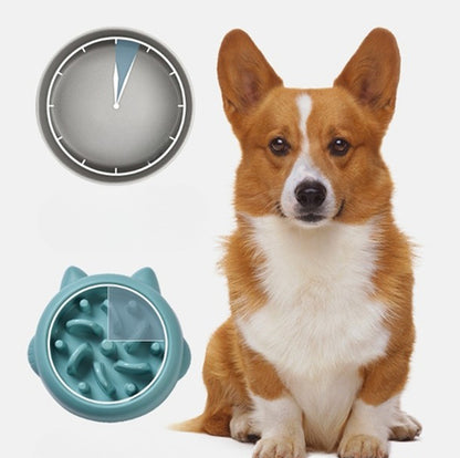Slow Feeder Bowls for Dogs and Cats - Anti-Choking and Anti-Gulping Feeding Dish for Home Use